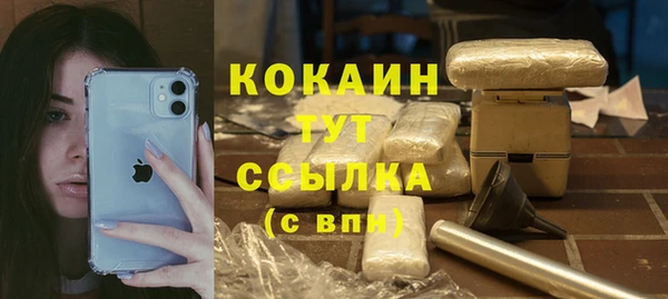 гидра Протвино