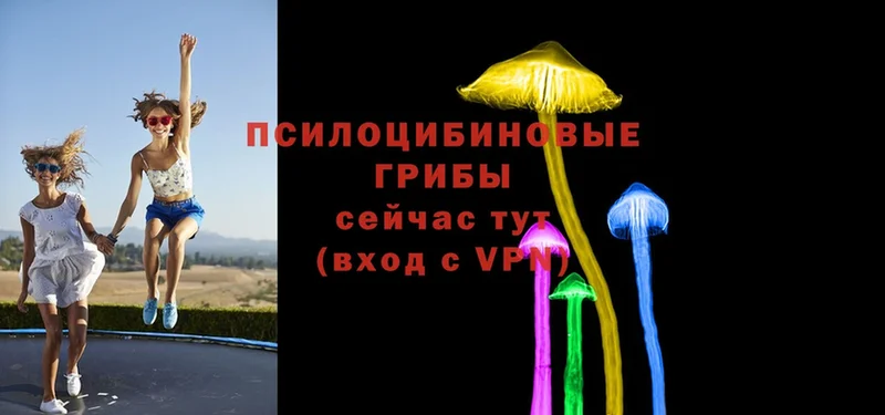 shop состав  закладка  Вилючинск  Галлюциногенные грибы Cubensis 